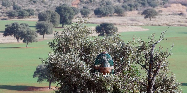 La perdiz roja se recupera y Cuchichí mantiene su compromiso con el producto de campo